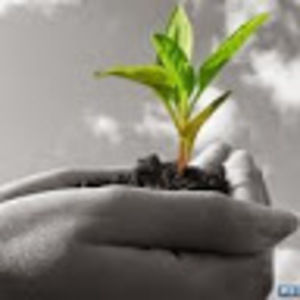 Meet your Posher, Sonia